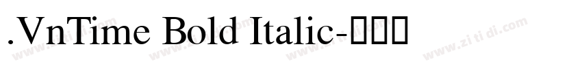 .VnTime Bold Italic字体转换